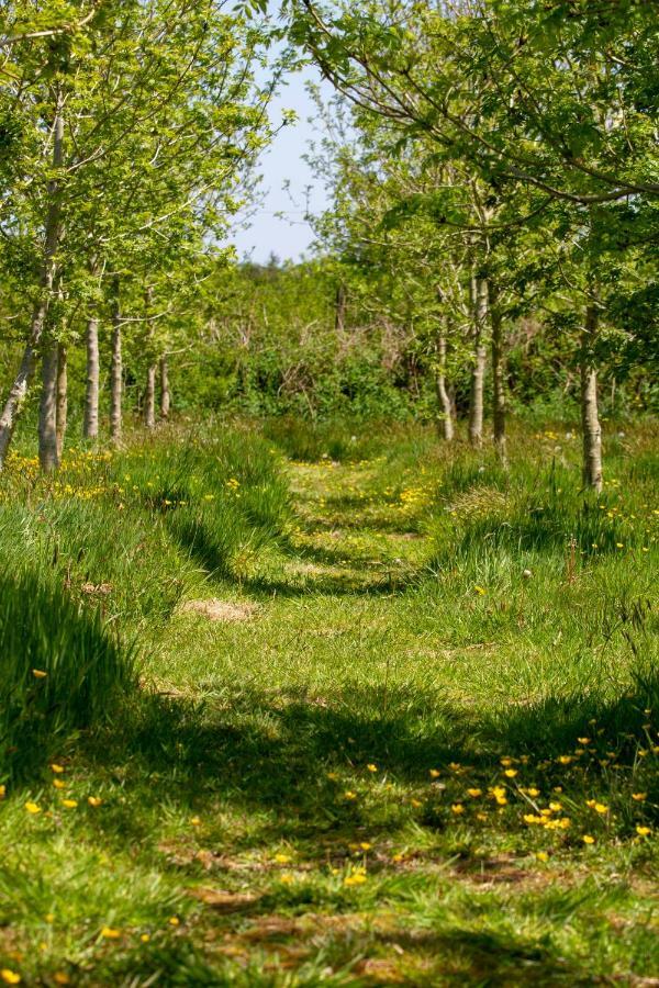 Ty Pren Bach Villa Maenclochog Exteriör bild